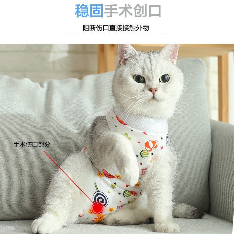 猫咪手术后绝育服防舔防脱防掉毛透气断奶生理裤宠物衣服母猫棉夏图2