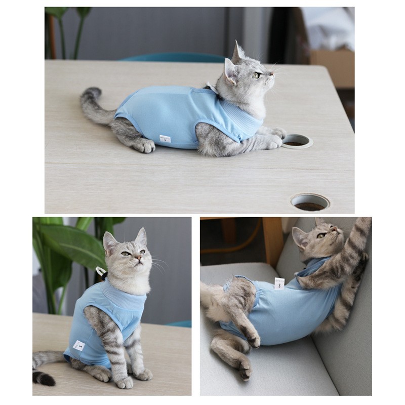手术服宠物猫咪绝育服生理裤术后恢复母猫断奶服防舔衣服防脱夏图2