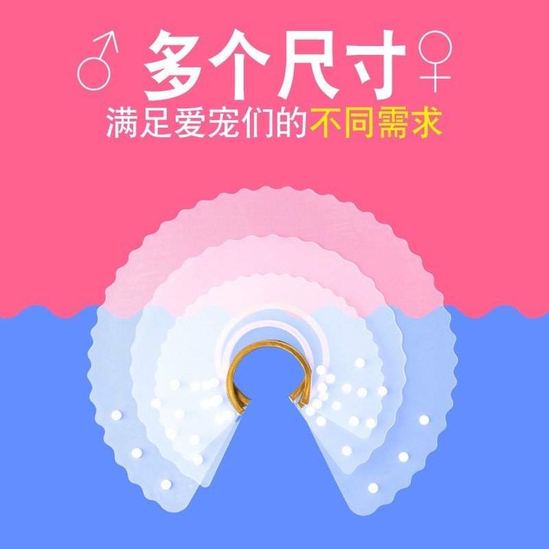 波浪造型 金色PU皮包边宠物伊丽莎白项圈 防舔 美容 手术后恢复图2