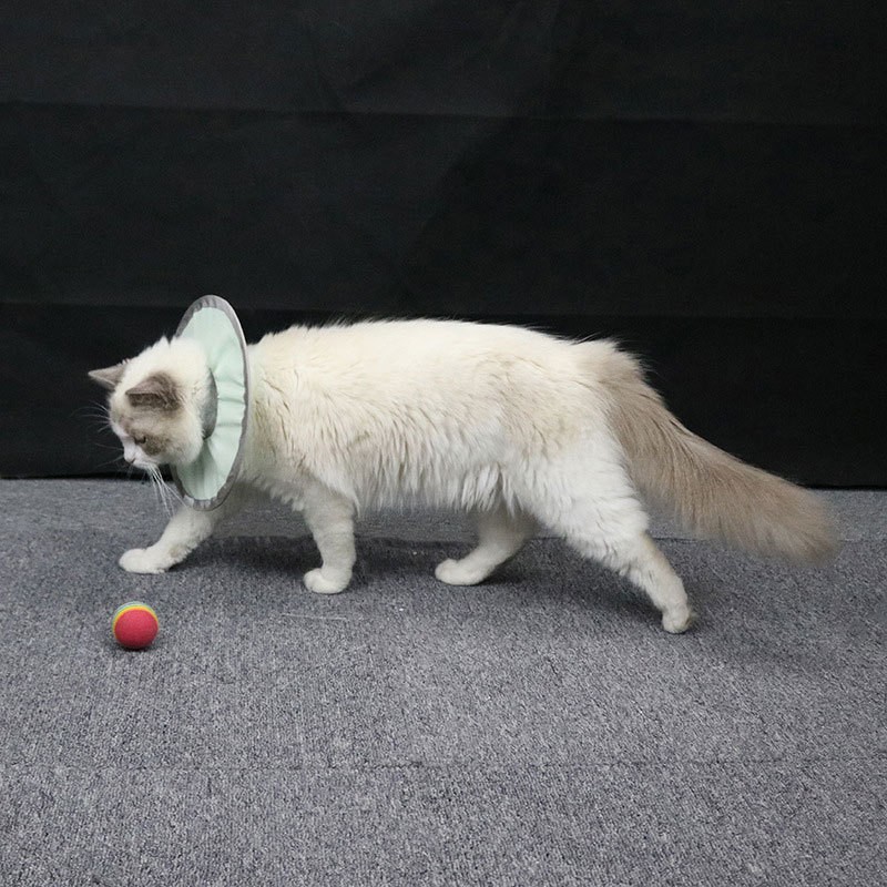 新款防水伊丽莎白圈尼龙布防泼防溅轻薄透气猫脖圈防咬头套图4