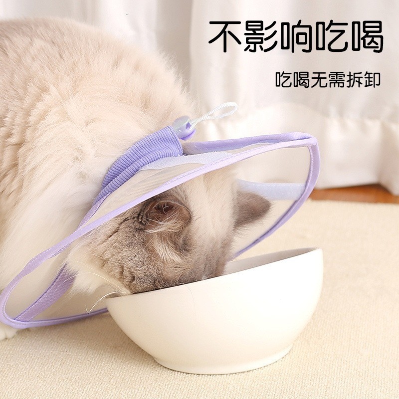 网布透气伊丽莎白圈透气网纱不影响吃喝防舔伤口透视猫咪术后图3