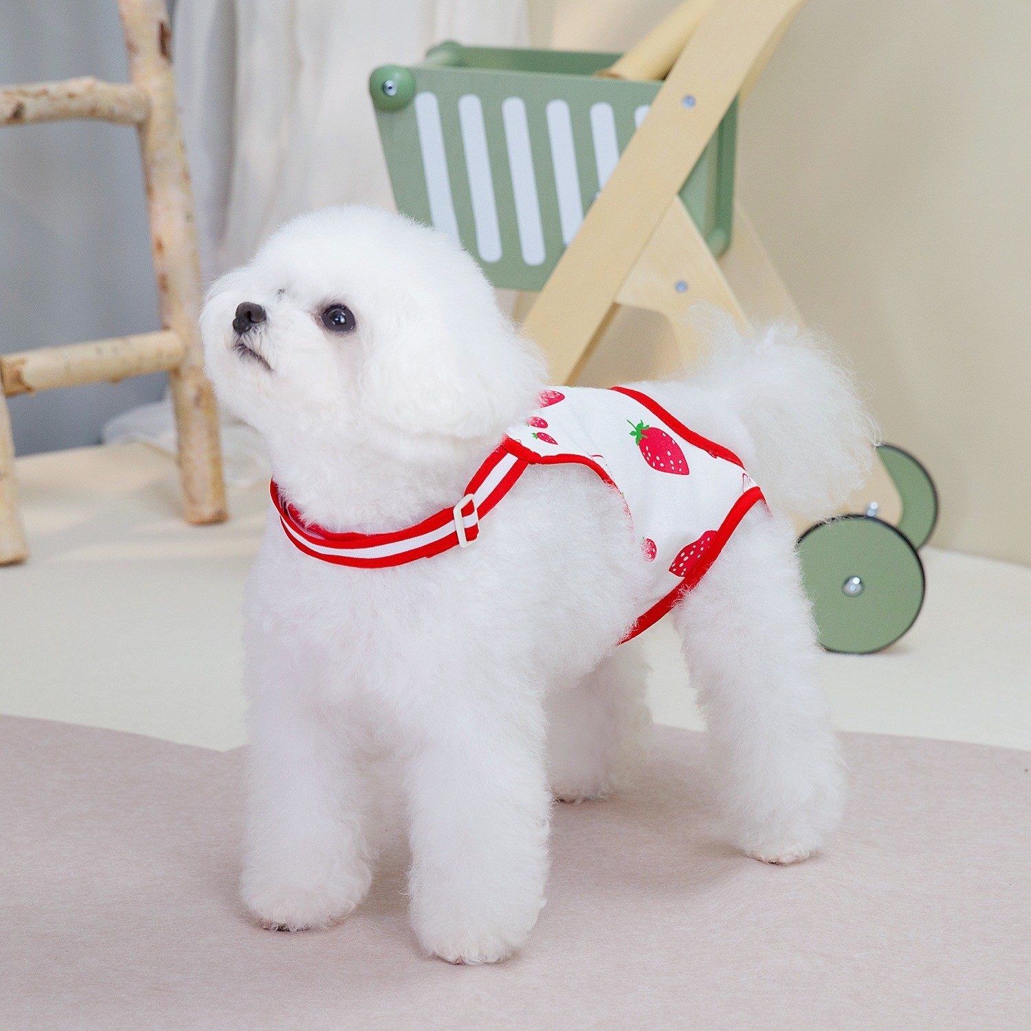 宠物狗狗猫咪生理裤月经裤猫咪绝育服宠物衣服春夏24草莓生理裤图4