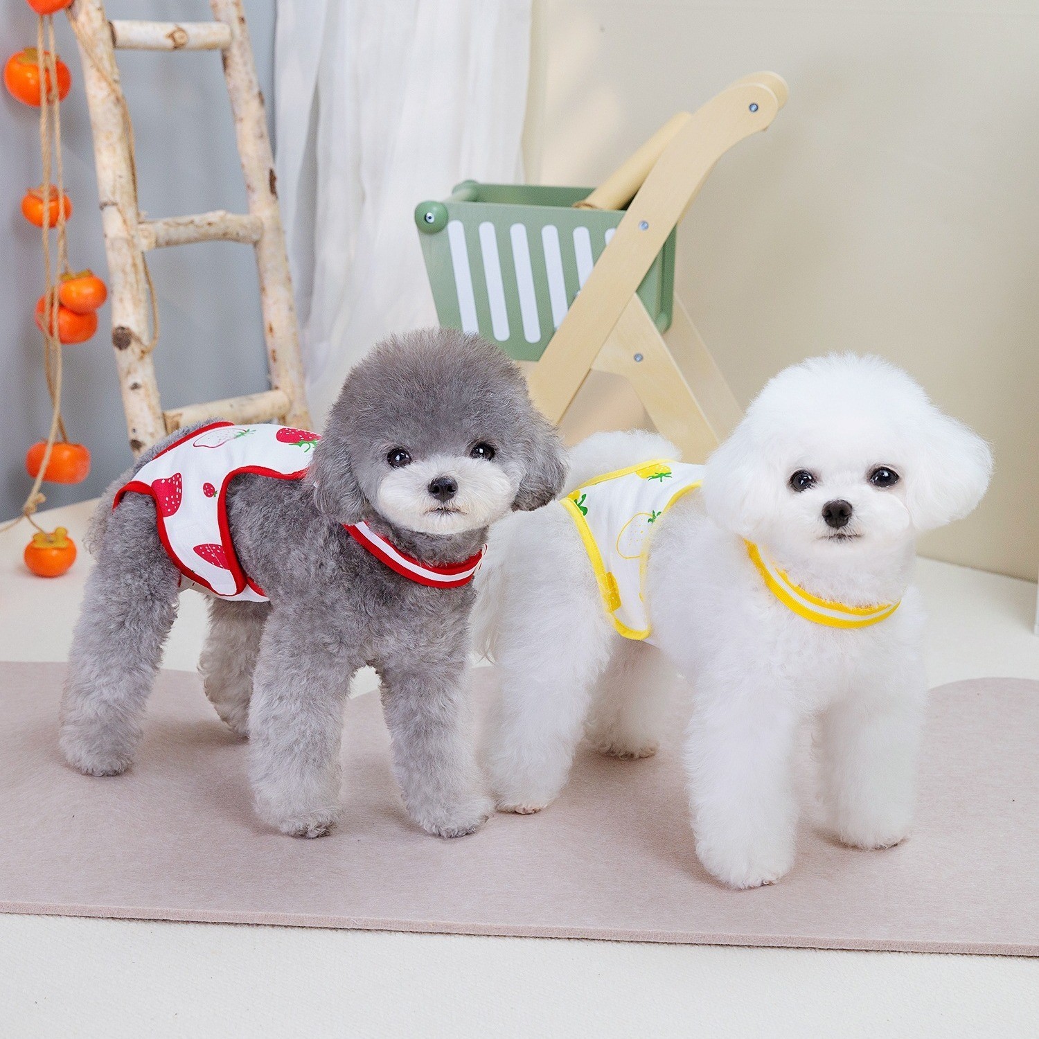 宠物狗狗猫咪生理裤月经裤猫咪绝育服宠物衣服春夏24草莓生理裤图3