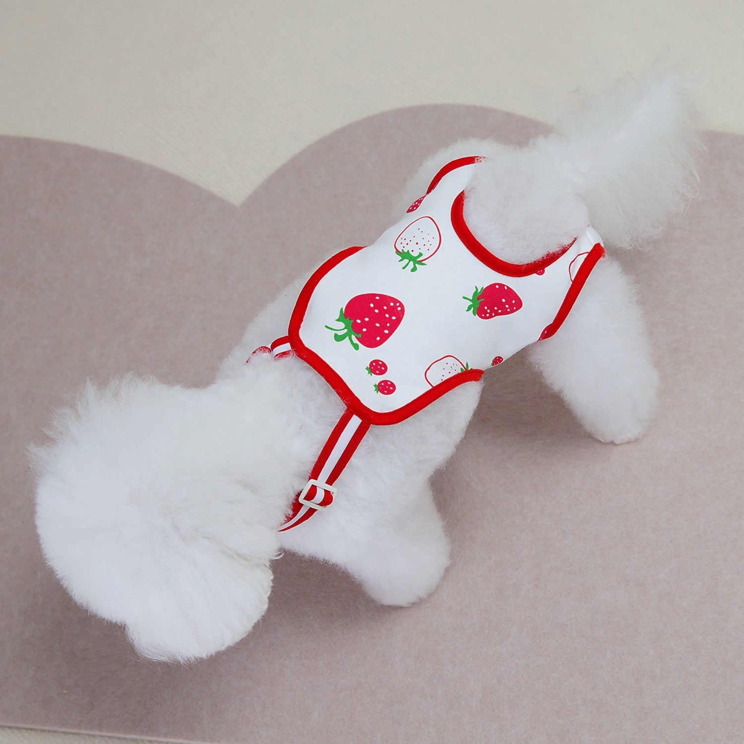 宠物狗狗猫咪生理裤月经裤猫咪绝育服宠物衣服春夏24草莓生理裤图2