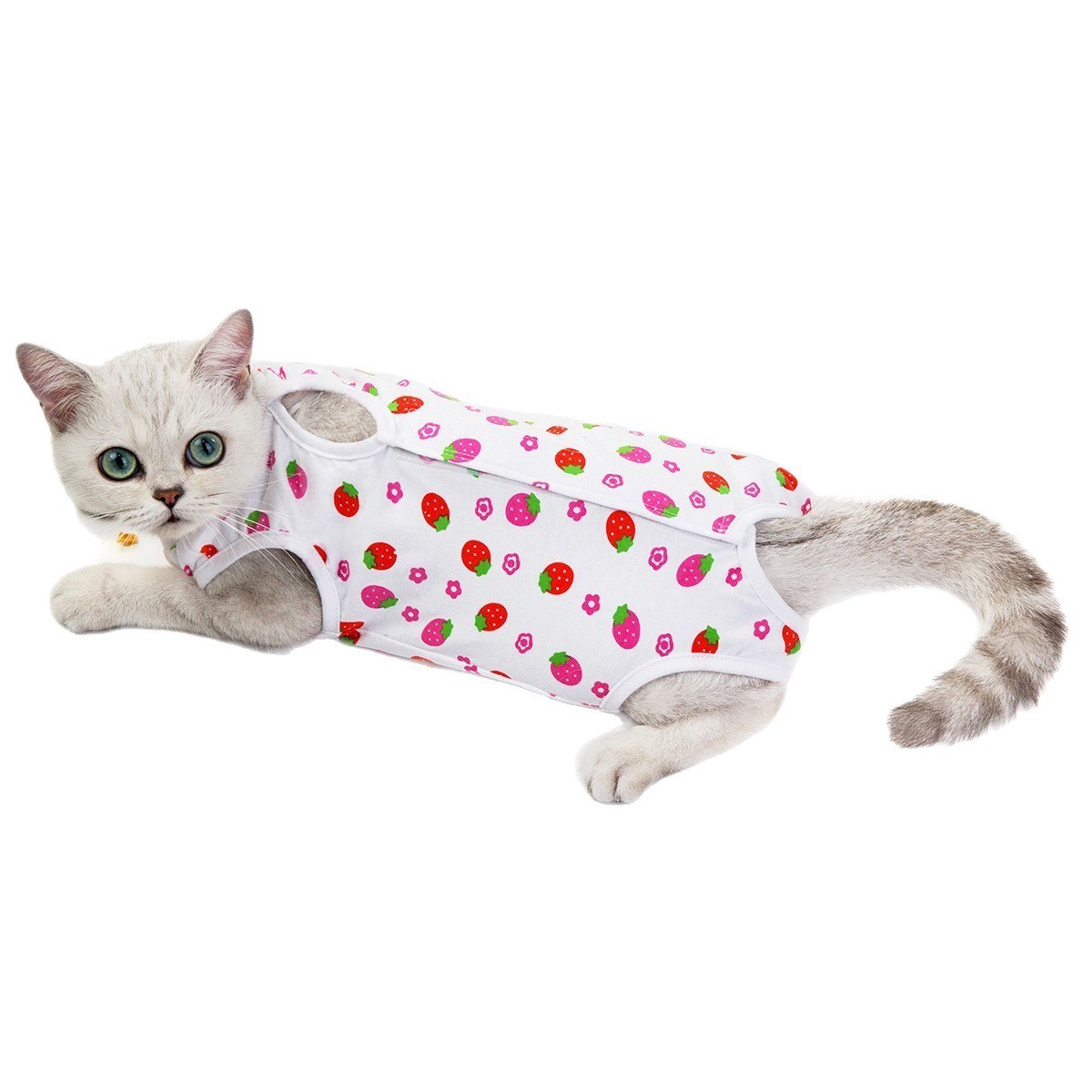 猫咪绝育服加工花色猫咪生理裤术后服防添服猫衣服图3