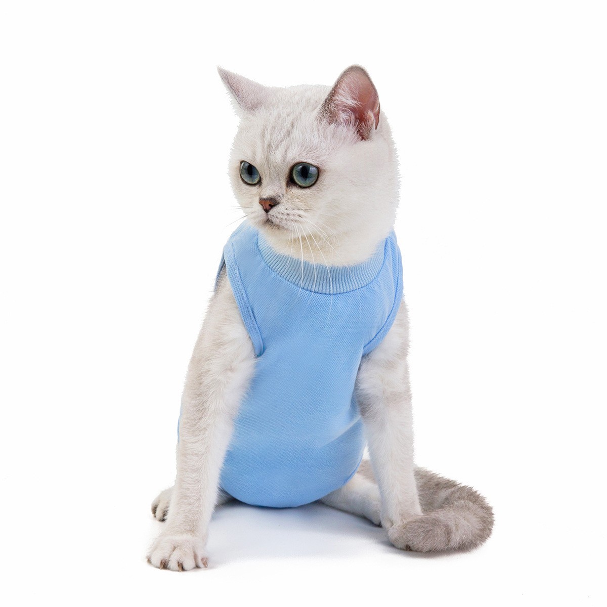 宠物猫咪衣服春夏季新款猫咪手术服绝育服图5