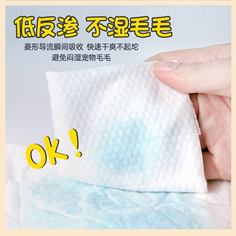 狗狗纸尿裤宠物尿不湿泰迪尿片宠物小狗月经裤母狗生理裤狗狗用品图2