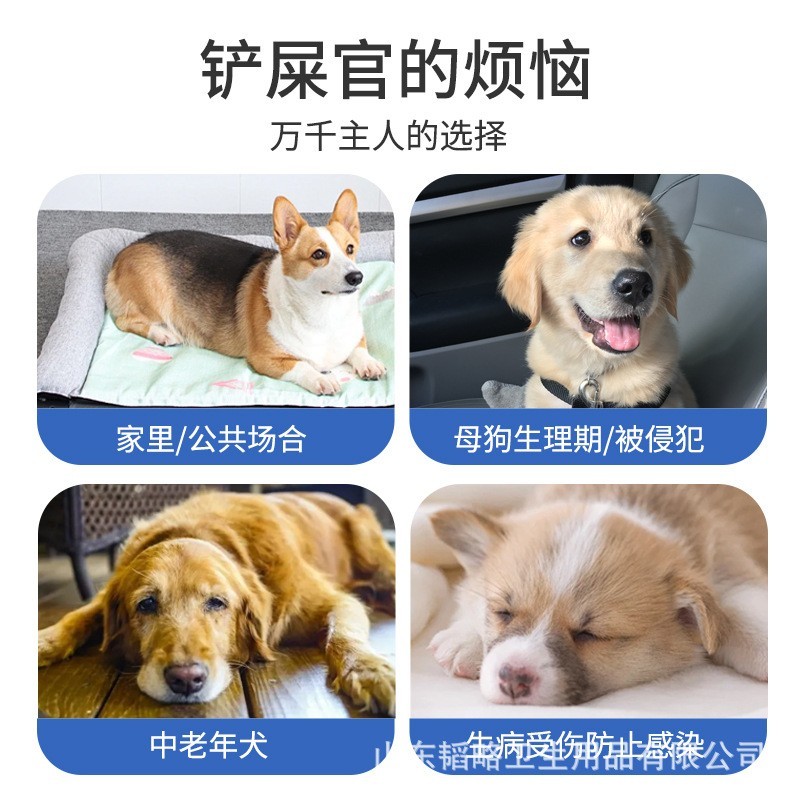 狗狗纸尿裤宠物尿不湿吸水宠物月经裤透气一次性狗生理裤专用尿垫图3