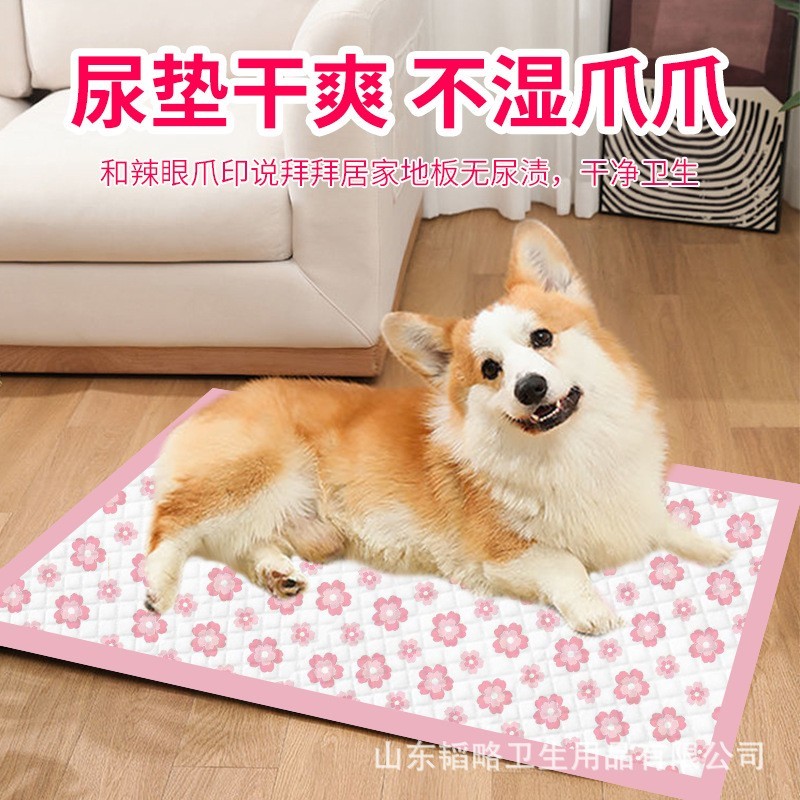 宠物尿垫尿不湿加厚护垫狗狗尿垫宠物尿片印花一次性吸水防漏狗用图3