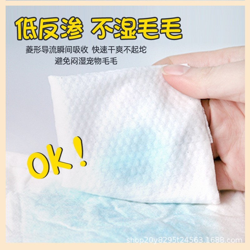 带尿显宠物生理裤狗狗尿不湿透气除臭宠物纸尿裤图3