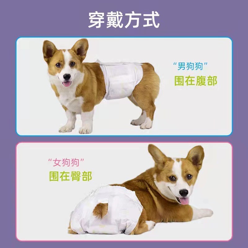 变色宠物纸尿裤公狗尿不湿防侧漏母狗生理裤用品防漏图3