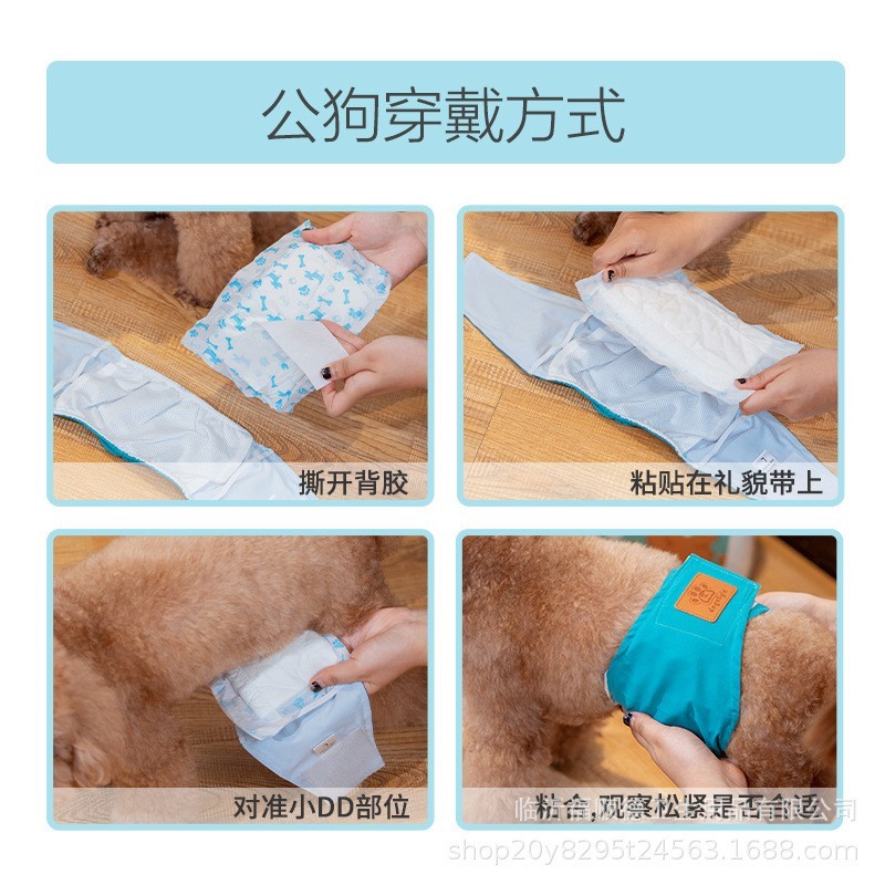 宠物礼貌带搭配尿片狗狗纸尿片尿不湿泰迪公狗纸尿裤母狗护垫宠物图4