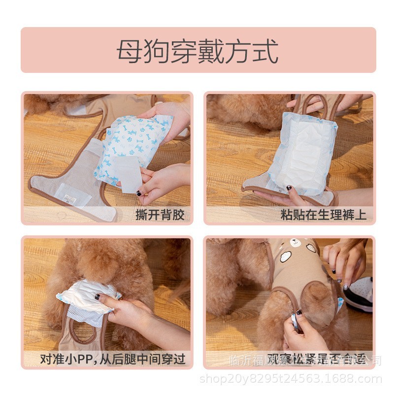 宠物礼貌带搭配尿片狗狗纸尿片尿不湿泰迪公狗纸尿裤母狗护垫宠物图5