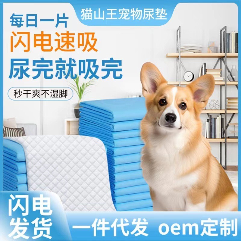 宠物尿垫狗垫加厚吸水尿片狗狗尿垫一次性吸水垫宠物尿片