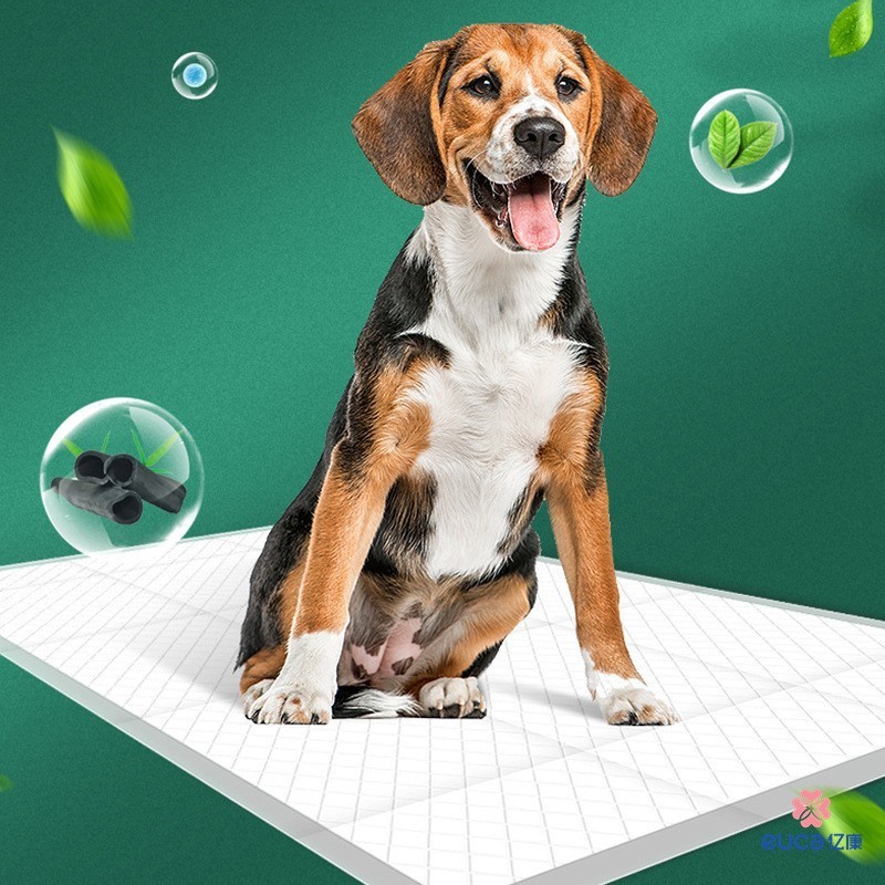 宠物尿垫加厚狗狗隔尿片一次性竹炭尿布吸水垫尿不湿除臭犬用图4