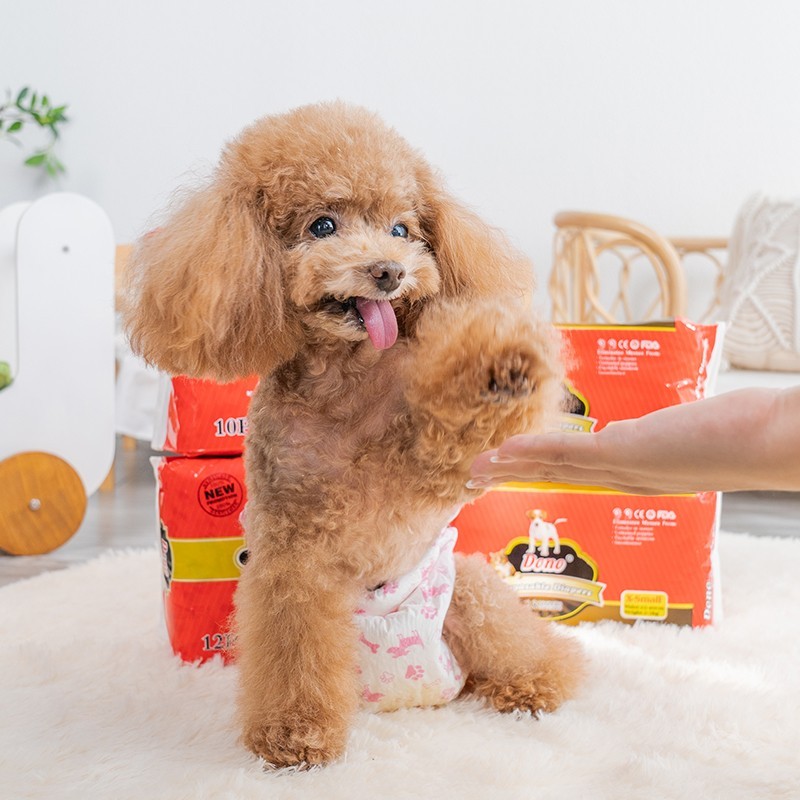 狗狗尿不湿宠物尿垫尿片公狗母狗用品纸尿裤除臭吸水生理裤女图4