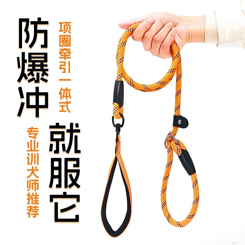 跨境热卖一体式防暴冲P绳 狗狗牵引绳耐咬可调节胸背绳牵引绳图3
