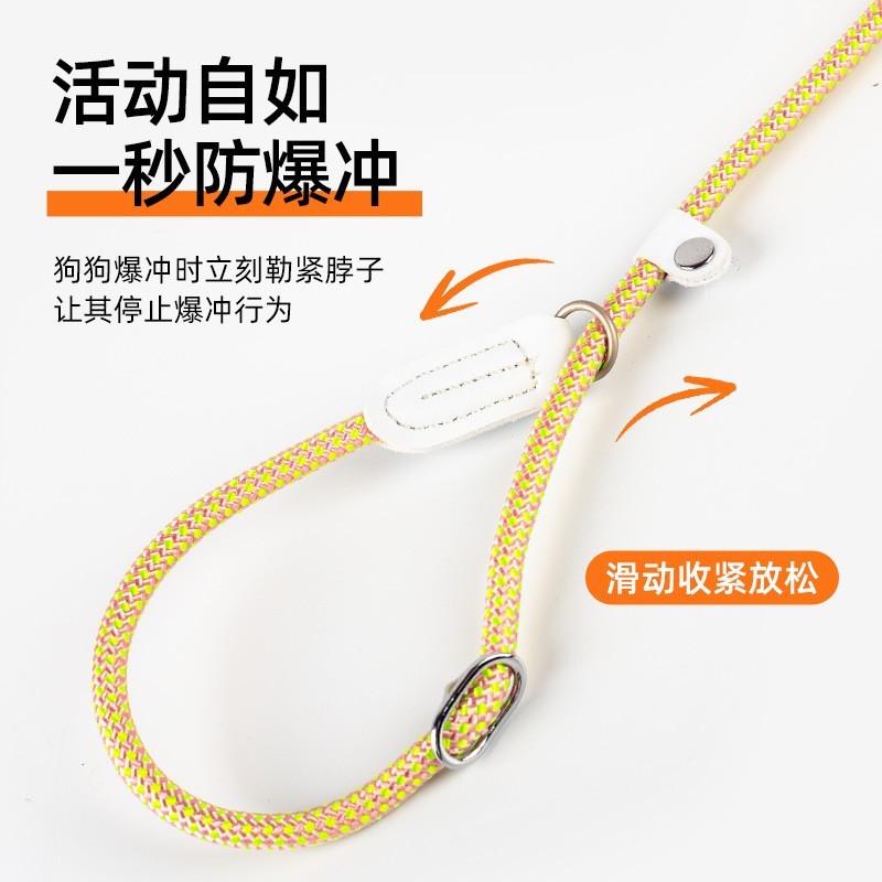 中大型犬防爆冲P绳训练牵引绳防咬防挣脱不勒手狗狗牵引绳图2