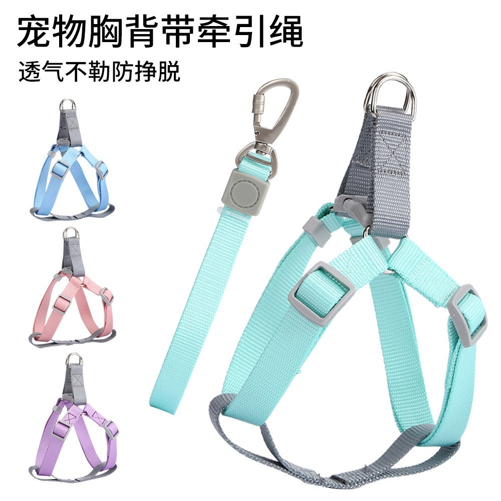 中小型犬可调节胸背牵引绳套装 耐磨尼龙马卡龙色 宠物狗绳图5