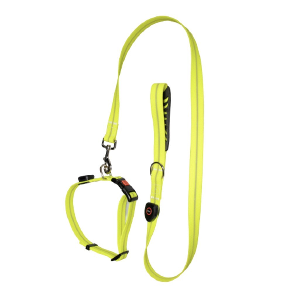 宠物用品狗狗可调节牵引绳宠物PVC材质发光项圈遛狗绳套装USB充电图2