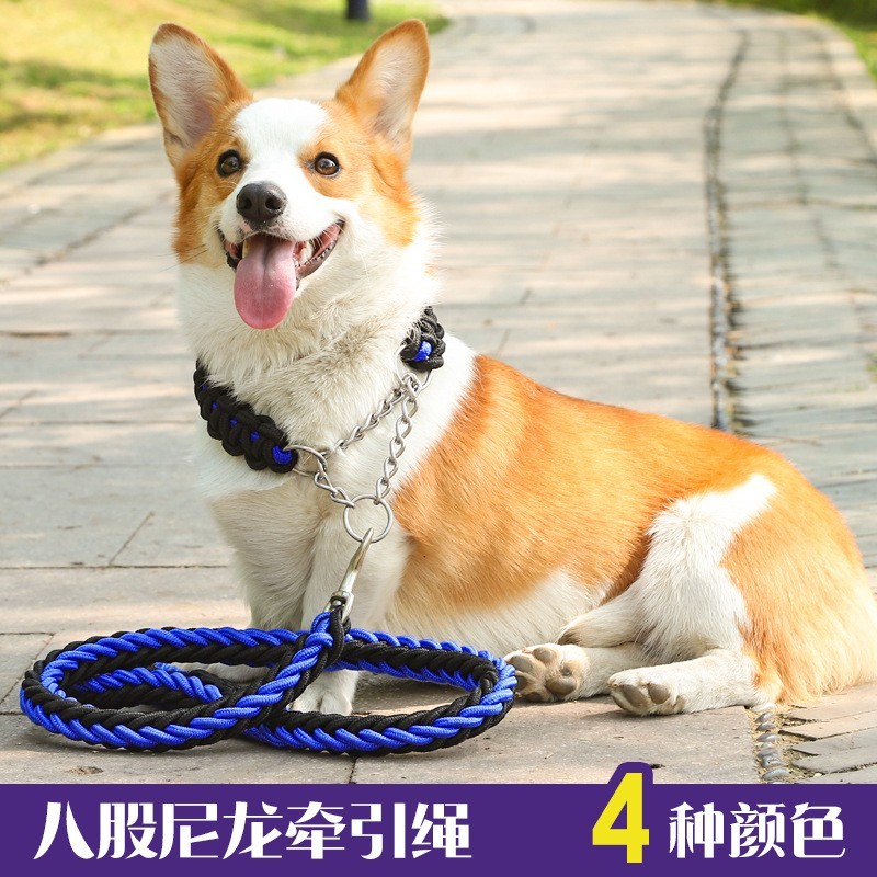 八股尼龙牵引绳狗链狗狗彩色编织宠物牵引大型犬狗绳宠物用品图4