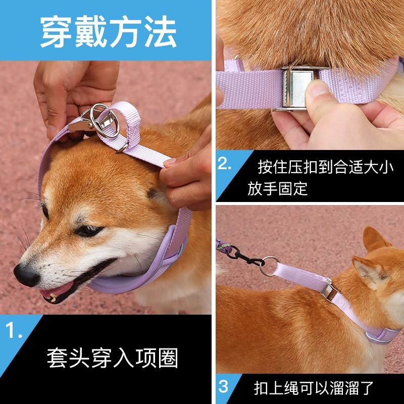 狗狗项圈幼犬到成犬宠物脖套小狗脖圈可调节拴狗圈牵引绳套装颈圈图5
