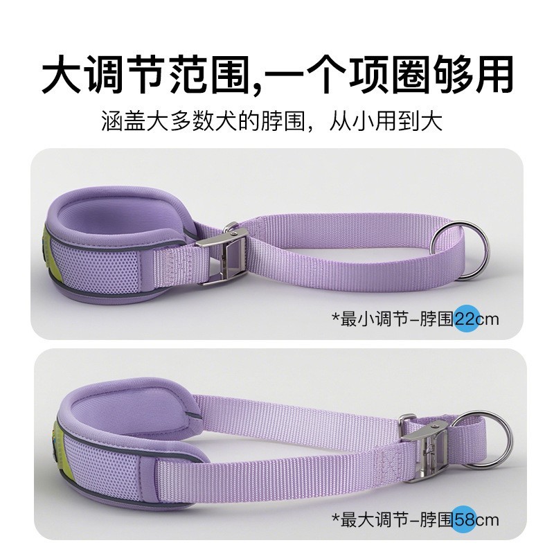 狗狗项圈幼犬到成犬宠物脖套小狗脖圈可调节拴狗圈牵引绳套装颈圈图4