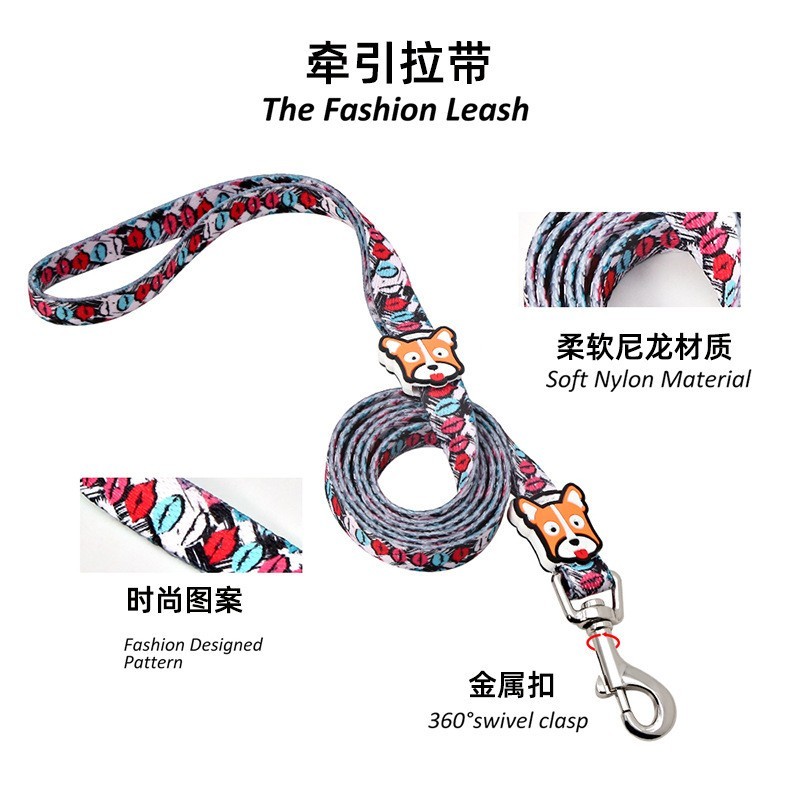 狗狗项圈牵引绳中小型犬遛狗绳狗链子宠物用品图2