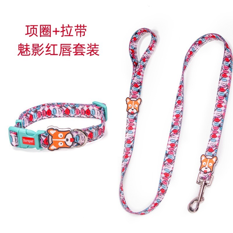 狗狗项圈牵引绳中小型犬遛狗绳狗链子宠物用品图5