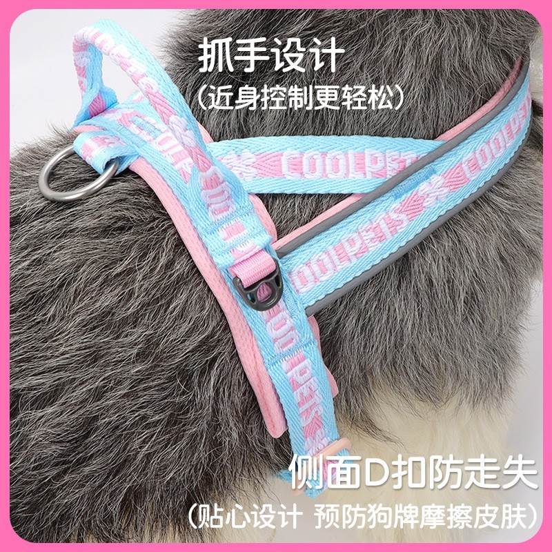 狗狗牵引绳狗狗胸背带马鞍式小中型犬防爆冲比熊狗狗背带图2