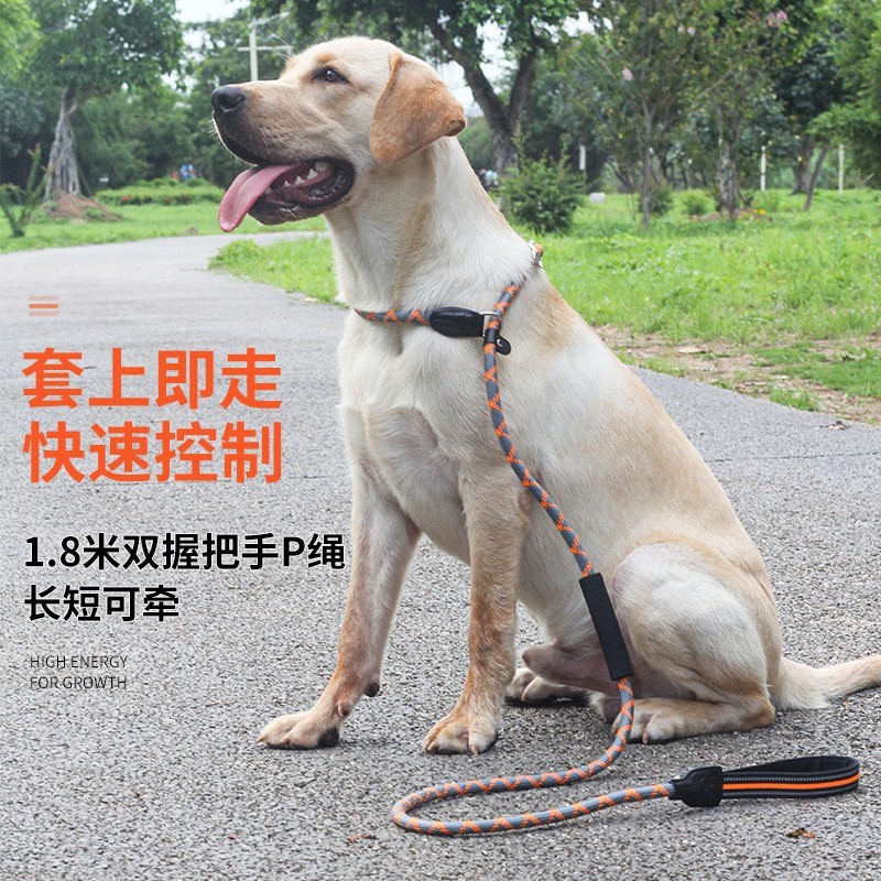 一体式可调节防爆冲反光狗狗牵引绳P链宠物P绳加工定制