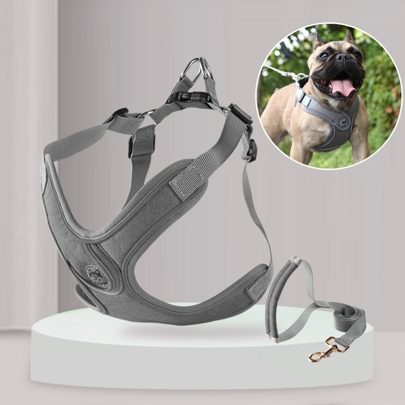 宠物胸背带跨境货源工厂狗狗牵引绳加工定制中小型宠物用品图2