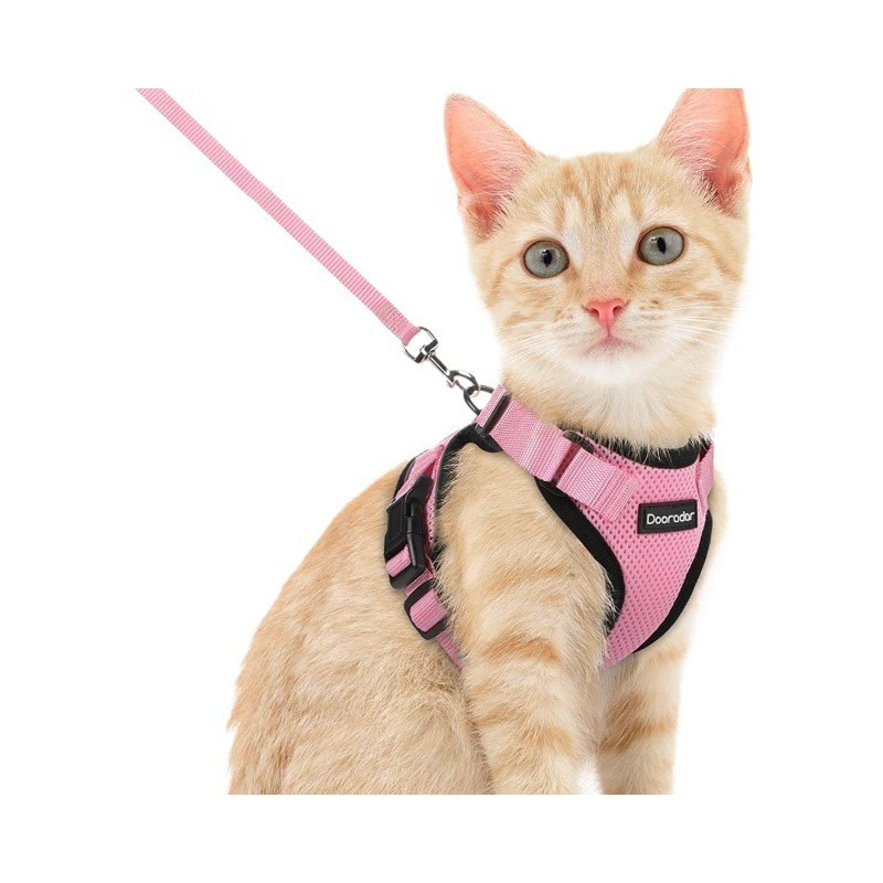 猫咪牵引绳防挣脱可调节牵猫绳子溜猫绳背心式宠物胸背带夏季超薄图3