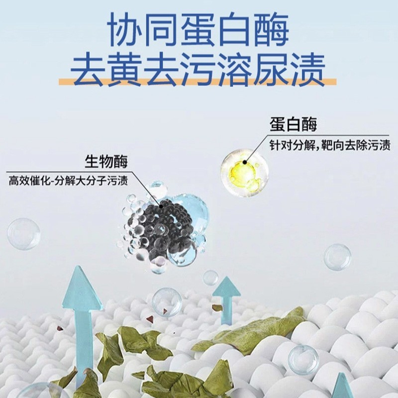 源头工厂宠物尿渍清洁剂生物酶配方猫犬去污渍除臭专用去尿渍喷雾图4