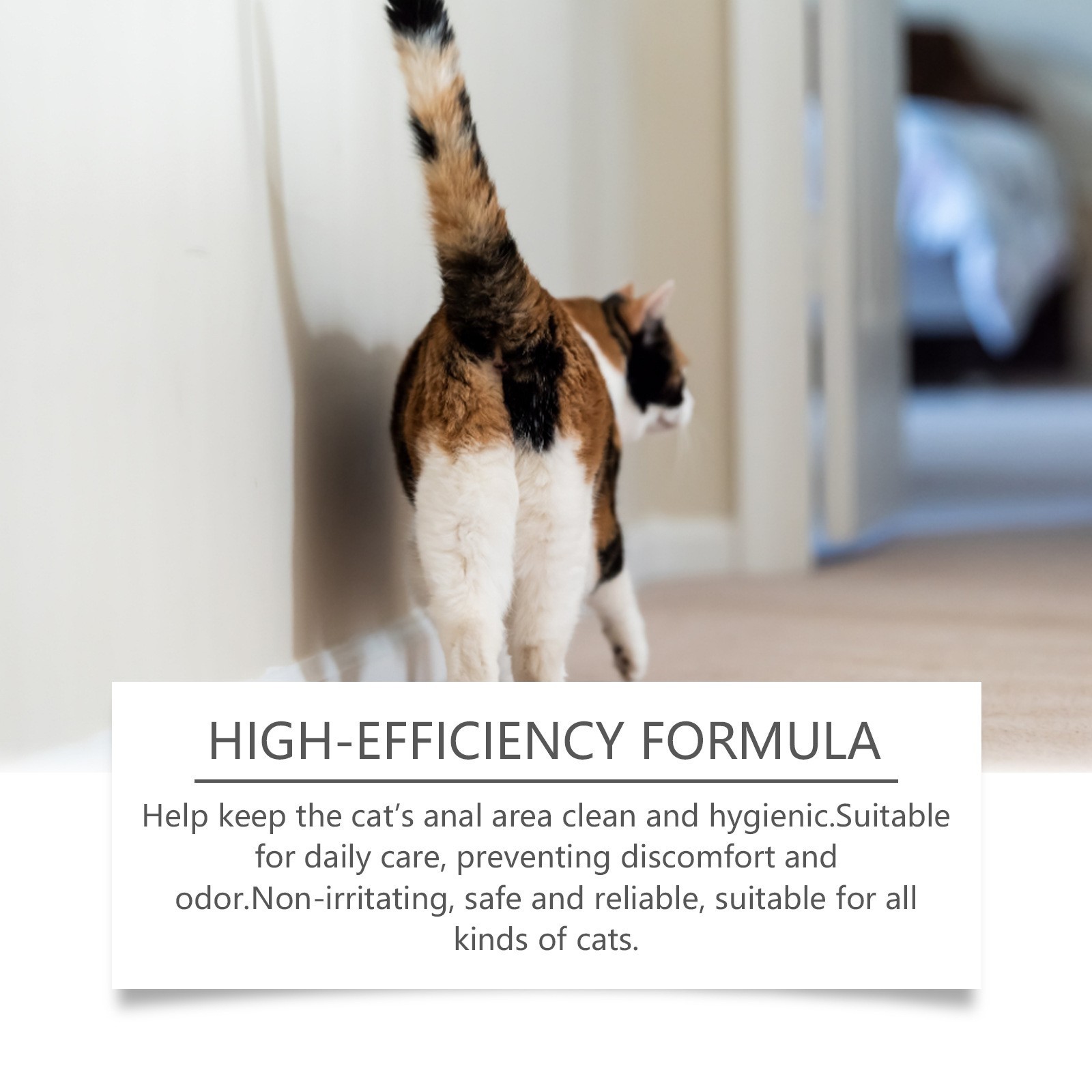猫咪肛门腺去异味喷雾 清新去异味猫咪便后洁净喷雾图4