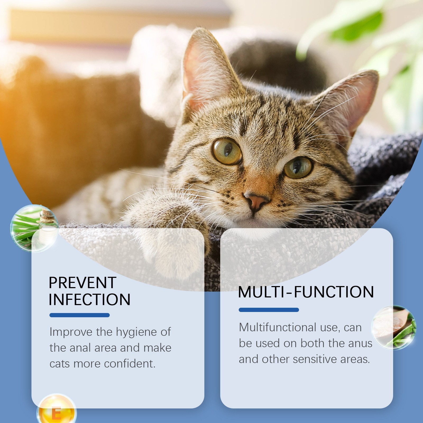 猫咪肛门腺去异味喷雾 清新去异味猫咪便后洁净喷雾图3