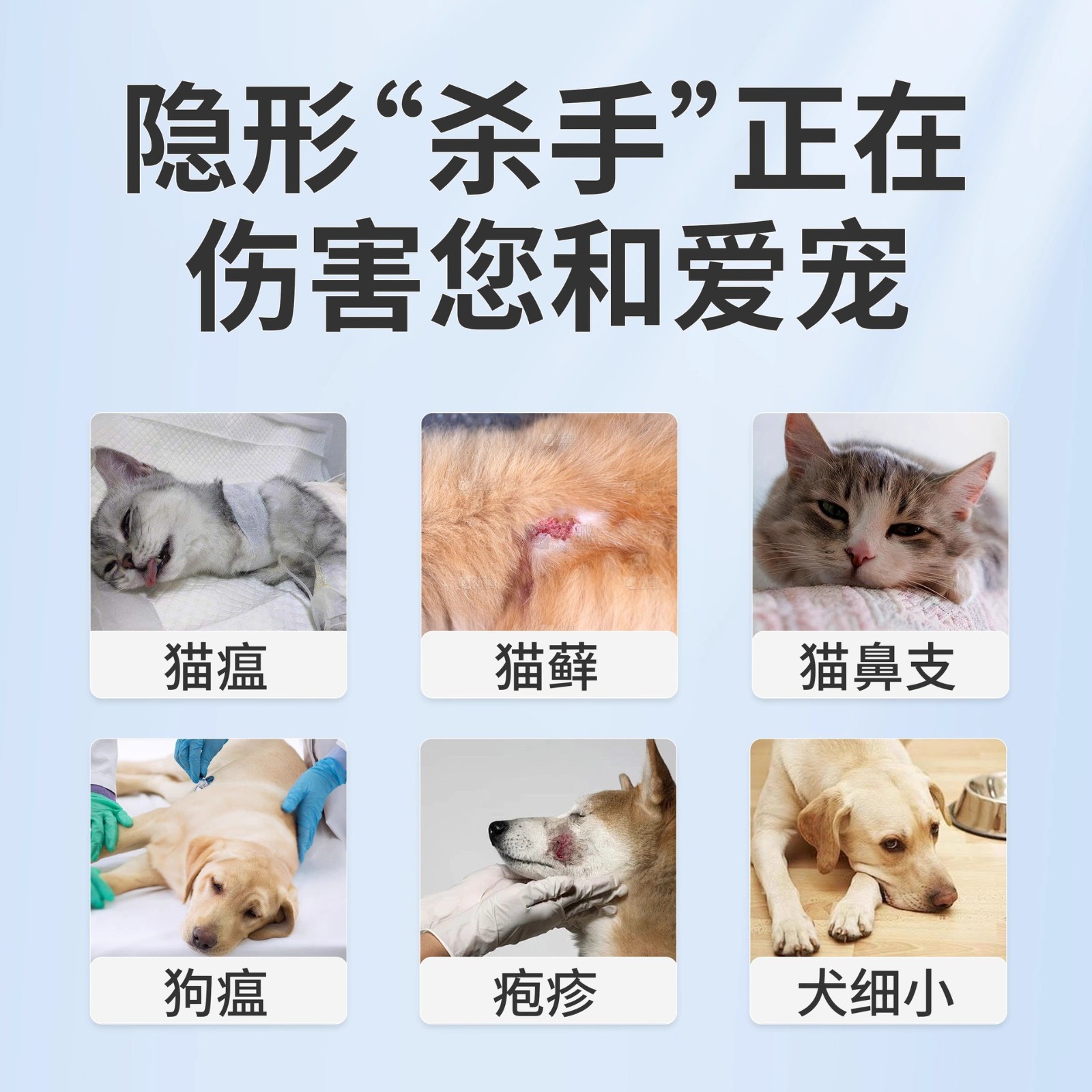 宠物消毒液次氯酸OEM猫咪杀菌除臭家用杀菌猫癣狗狗消毒杀菌喷雾图4