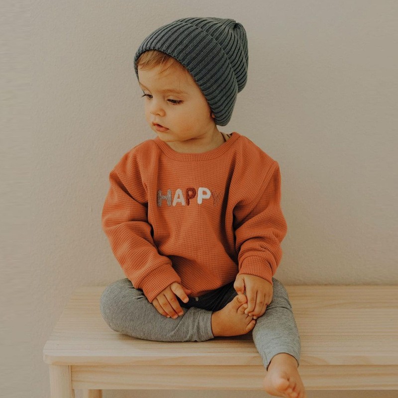 外贸童装工厂定制男童t恤套装纯棉宝宝婴儿衣服外穿两件套图5