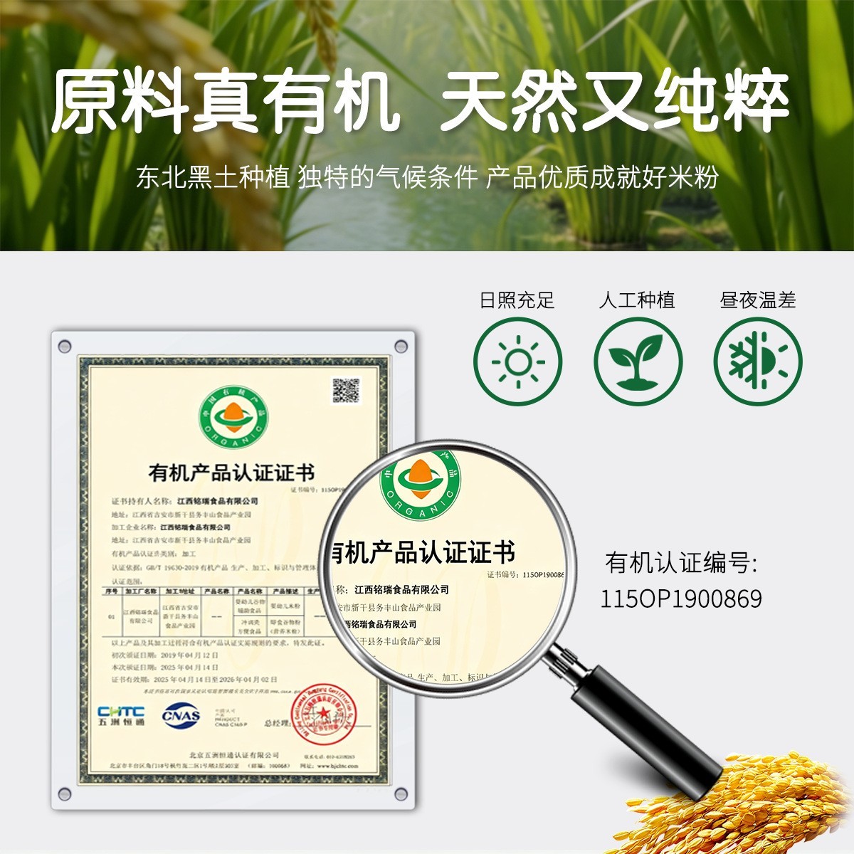 有机高铁米粉益生菌宝宝婴儿辅食钙铁锌多重营养米粉米糊图2