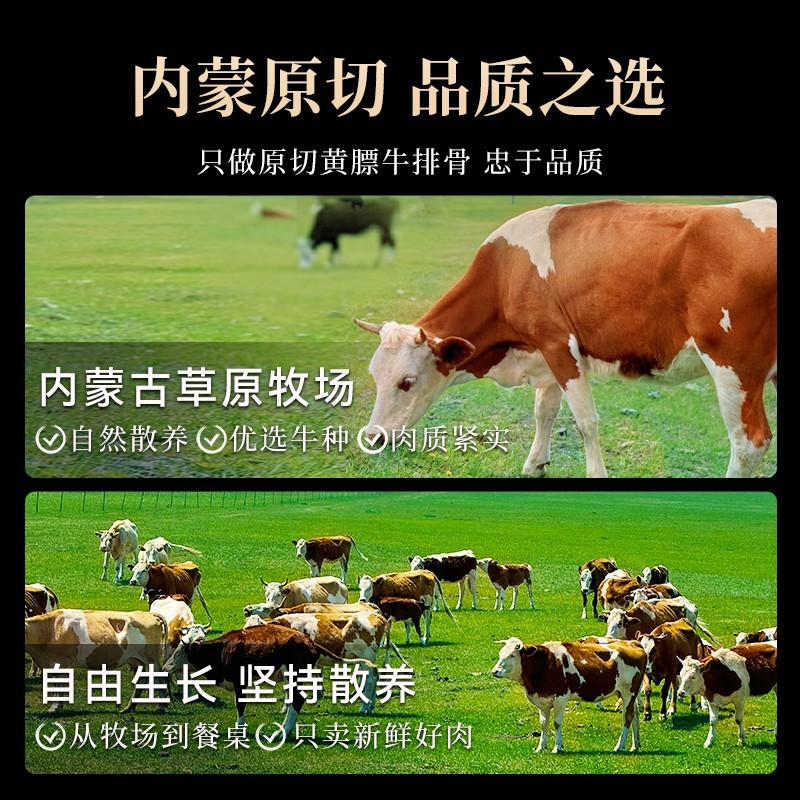 黄膘牛排原切扇子骨牛排骨新鲜带肉牛肋排炖煮烧烤冷冻牛肉图5