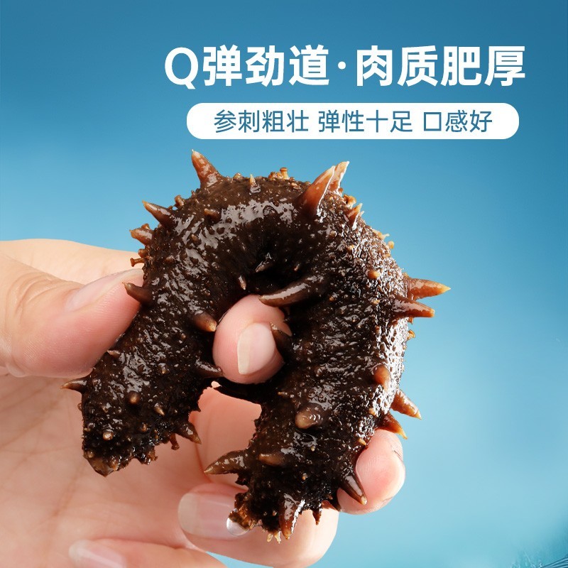 海参大连即食辽刺参开即食Q弹劲道新鲜冷冻即食海参图3