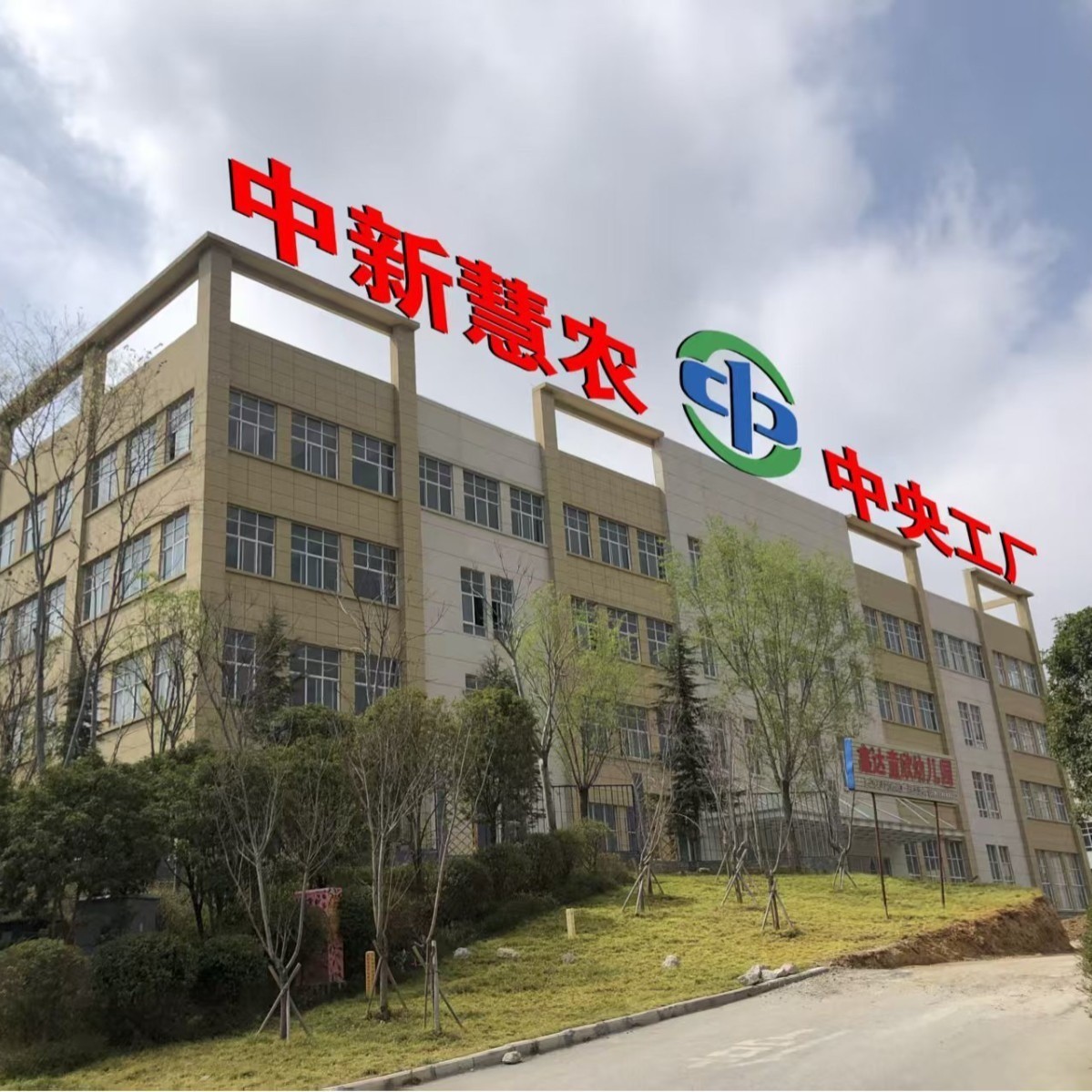 净肉串小肉串烧烤油炸铁板串串半成品食材商用图3