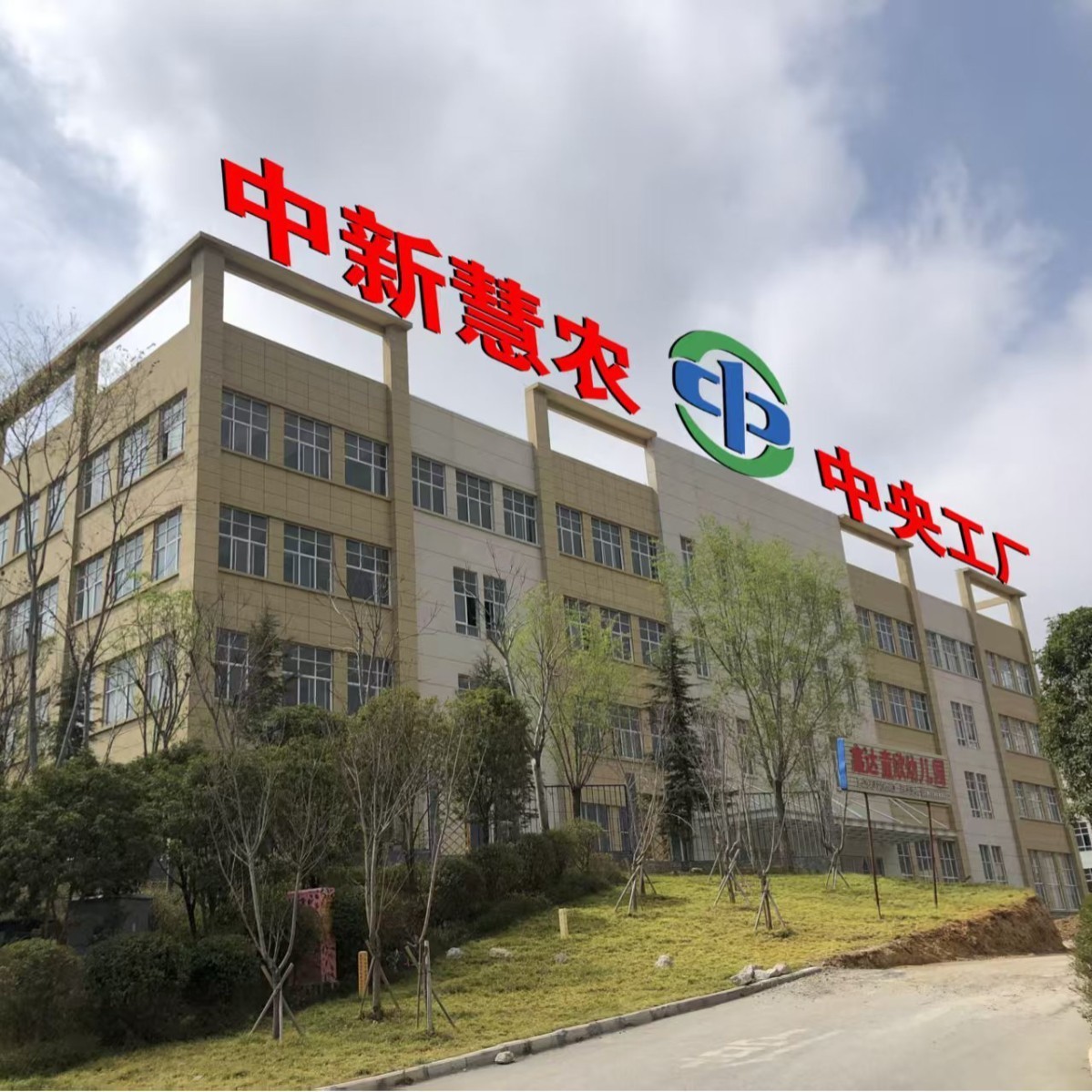 小肉串工厂牛胸膘串烧烤食材半成品商用图5