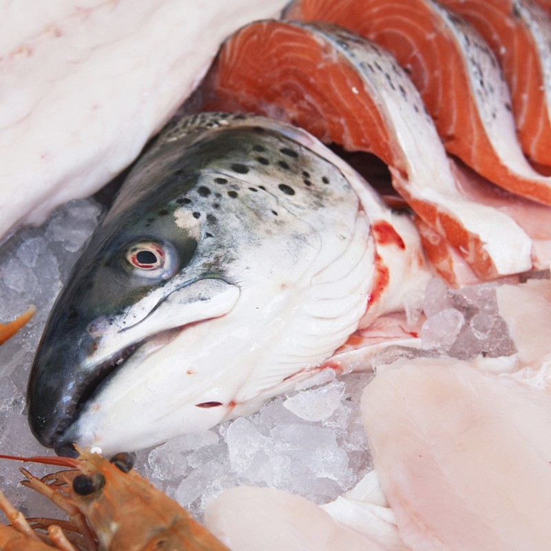 进口三文鱼整条大西洋鲑鱼日料理刺身鱼头寿司食材酒店加工图2