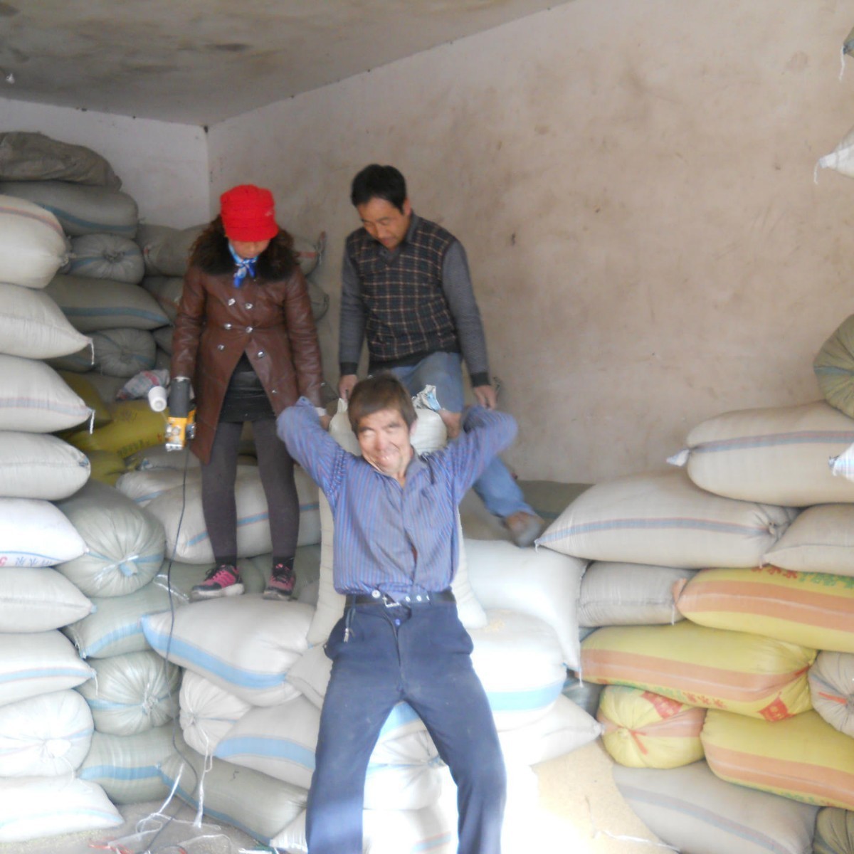 长黄豆100斤/袋长大黄豆.磨豆腐豆芽豆、豆芽菜豆、腰形豆图3