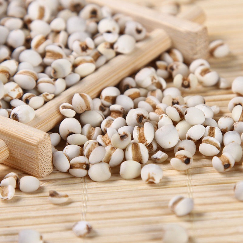 薏仁米 厂家现货薏米仁 薏苡仁 小薏仁 五谷杂粮粗粮小薏仁图4