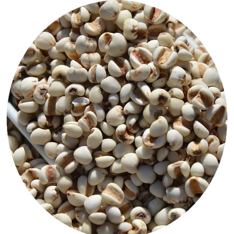 薏仁米 厂家现货薏米仁 薏苡仁 小薏仁 五谷杂粮粗粮小薏仁图5