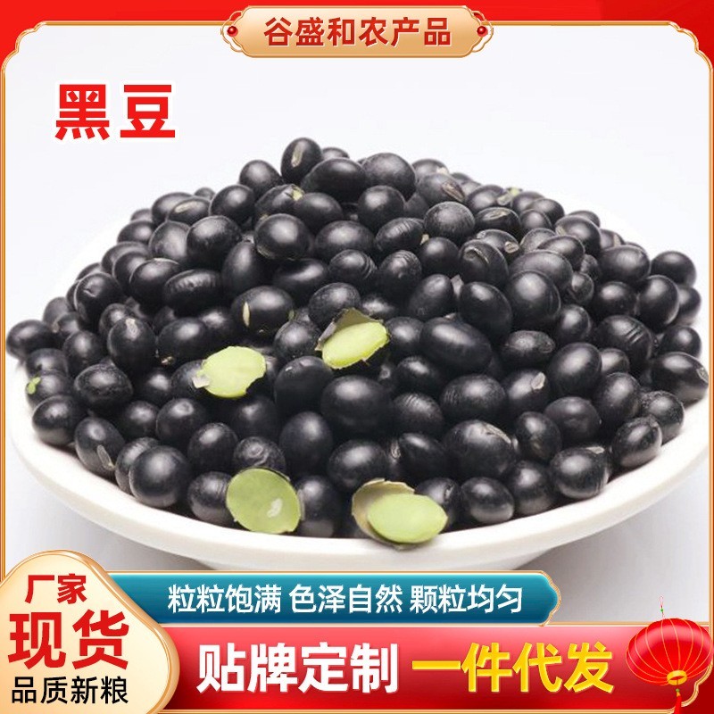 东北黑豆厂家现货青仁品质新粮绿心黑豆 煮粥绿芯黑皮黑豆25kg