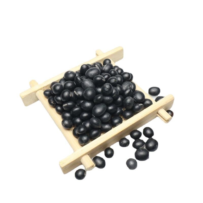 东北黑豆厂家现货青仁品质新粮绿心黑豆 煮粥绿芯黑皮黑豆25kg图3