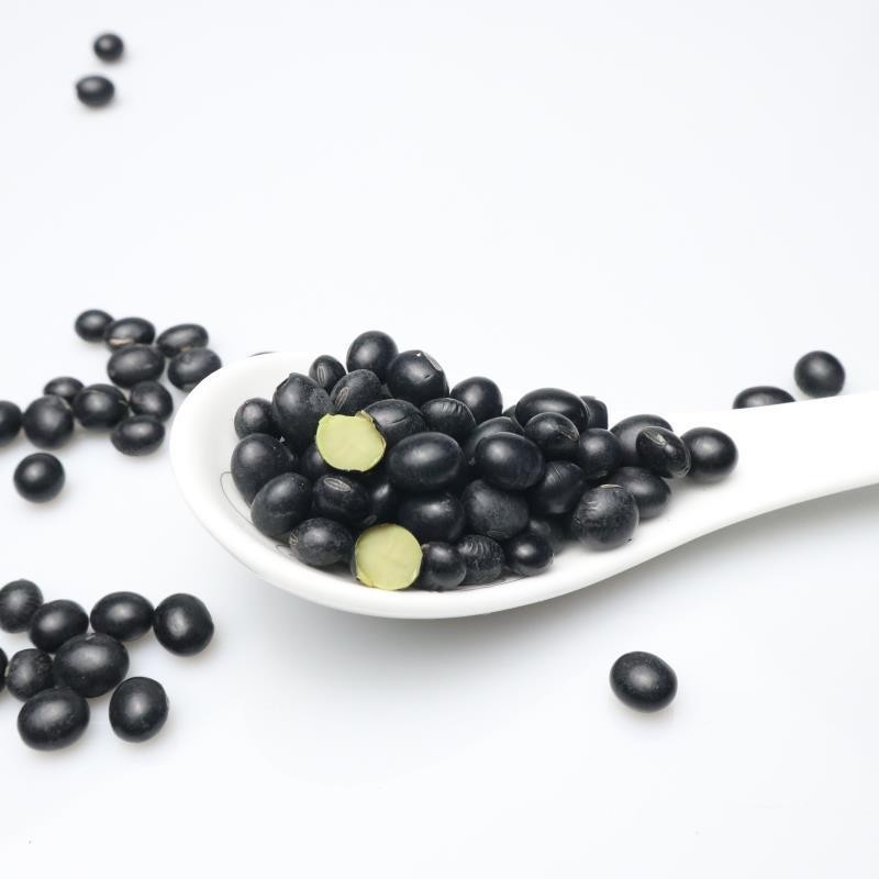 东北黑豆厂家现货青仁品质新粮绿心黑豆 煮粥绿芯黑皮黑豆25kg图4